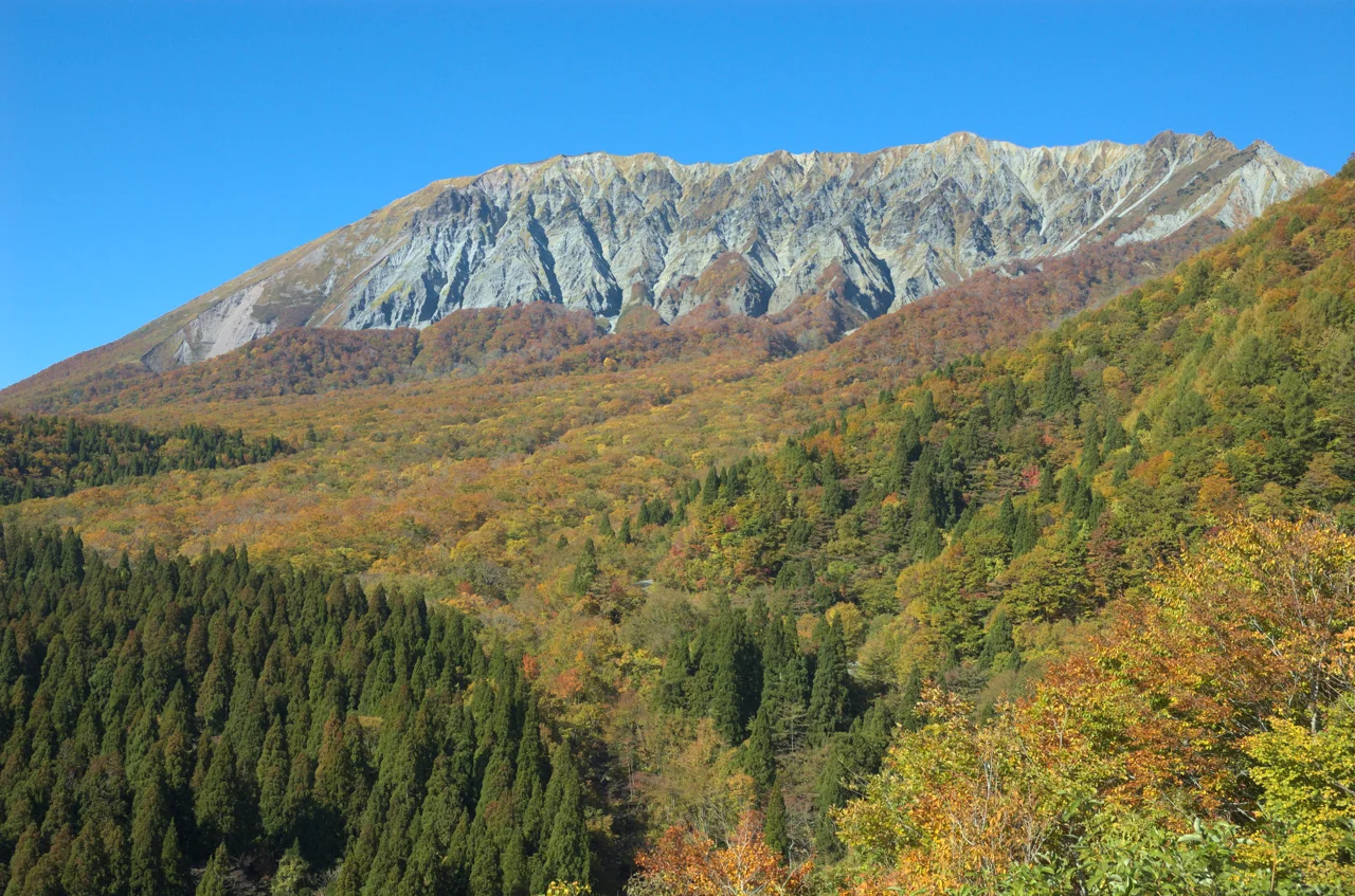 鍵掛峠望向大山南壁，山麓樹林呈黃橙色
