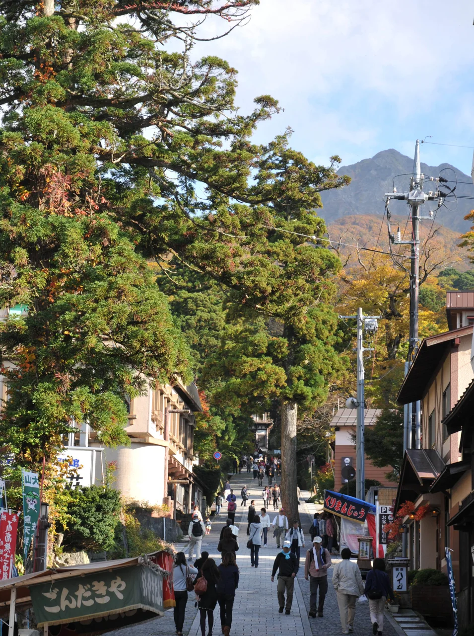 大山寺參道兩側有店家與樹木,遊客沿坡道步行