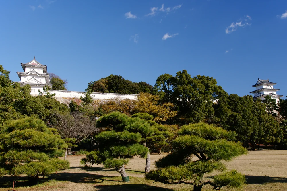 明石城兩座白色櫓分立於城牆兩側,前方是松樹與草地。