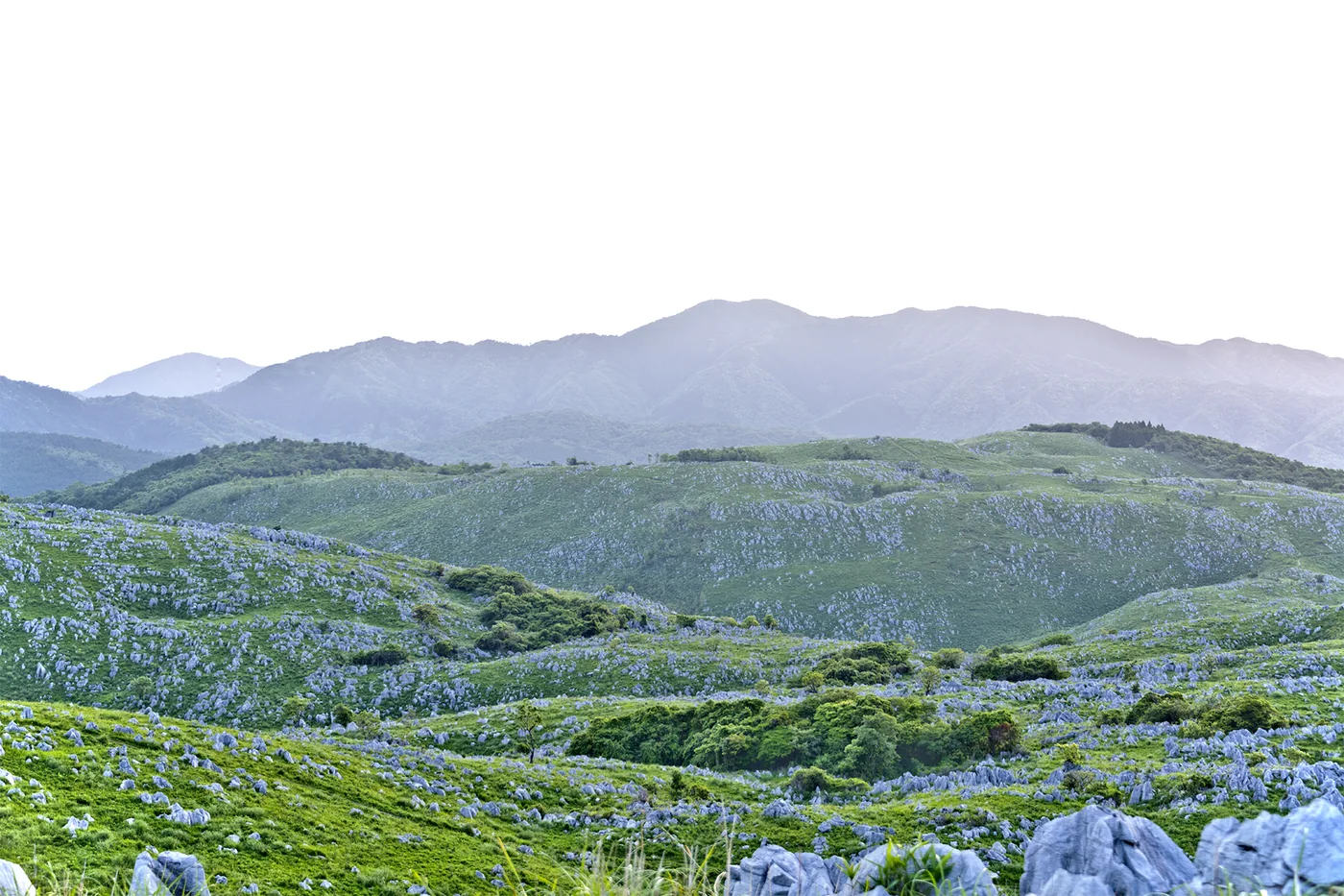 秋吉台綠色草原間密布灰白石灰岩,連續山丘與遠山在淡色天空下展開