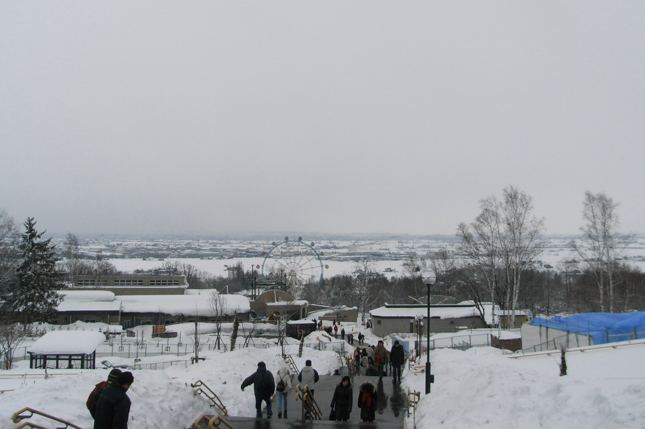 從旭山動物園東門方向望向下方園區的積雪坡道與市區遠景