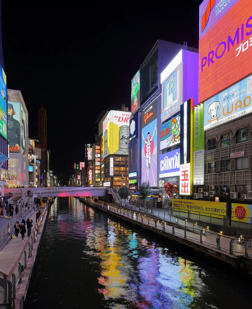 道頓堀戎橋旁的河岸招牌夜景（2016年11月）
