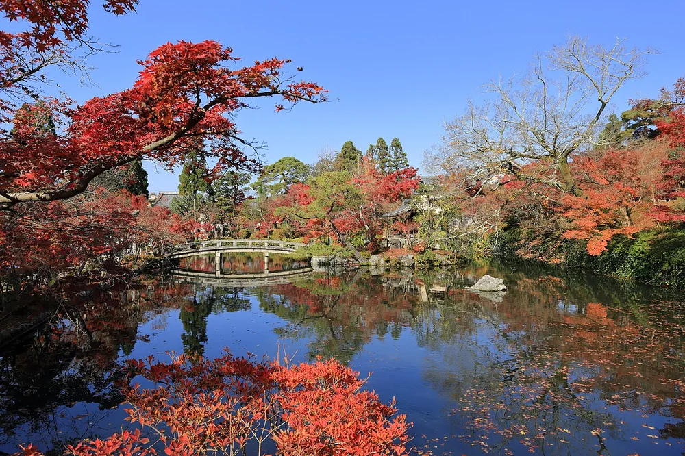 永觀堂放生池秋景（2016年）