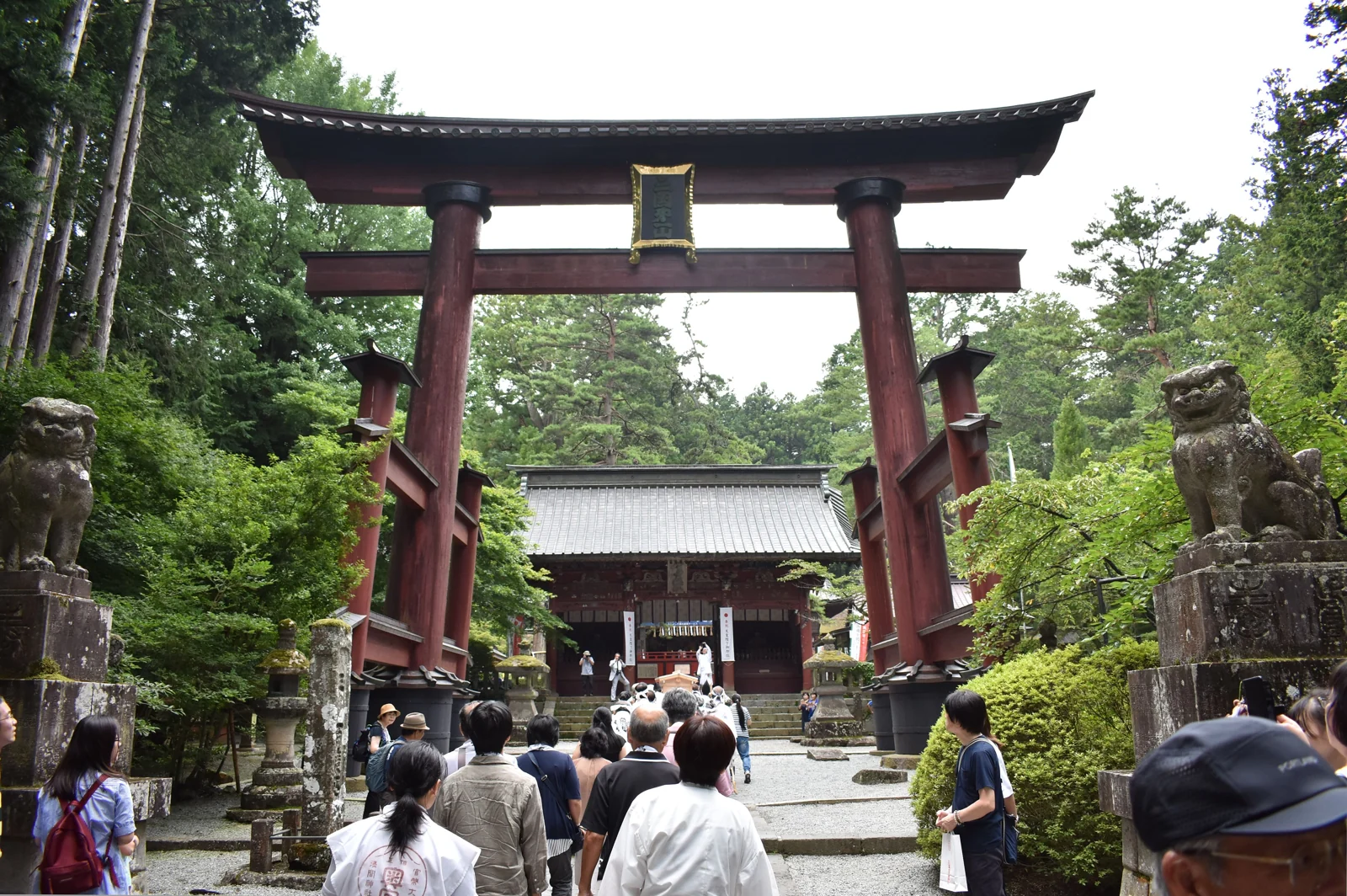 北口本宮冨士淺間神社參道上的朱紅大鳥居，兩旁為樹林與石造狛犬，後方是隨神門