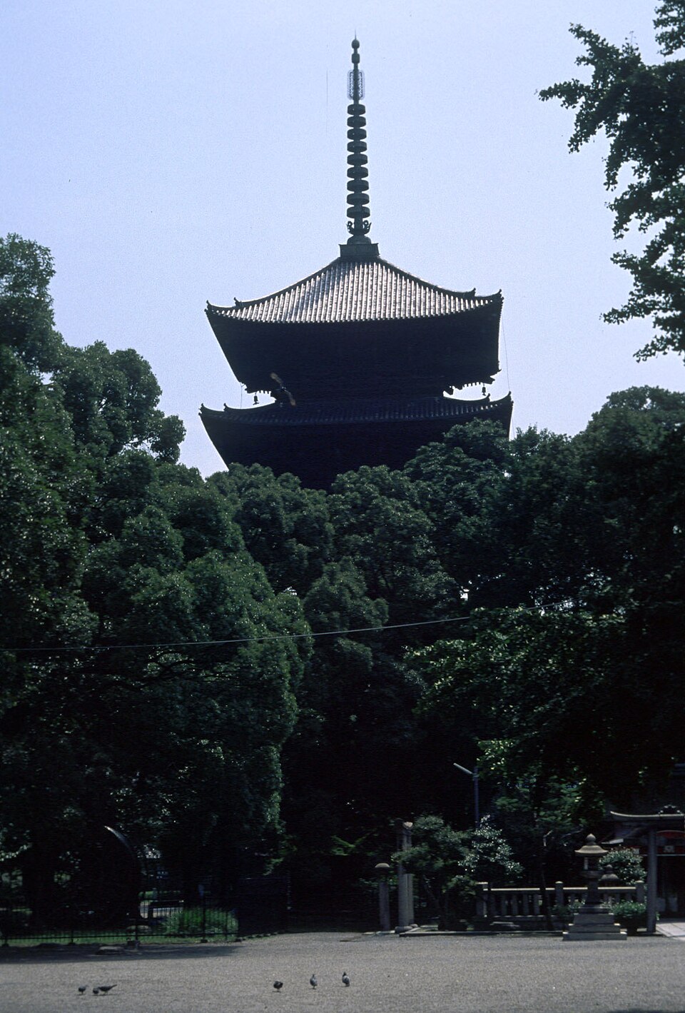 東寺五重塔的塔身上部與樹木