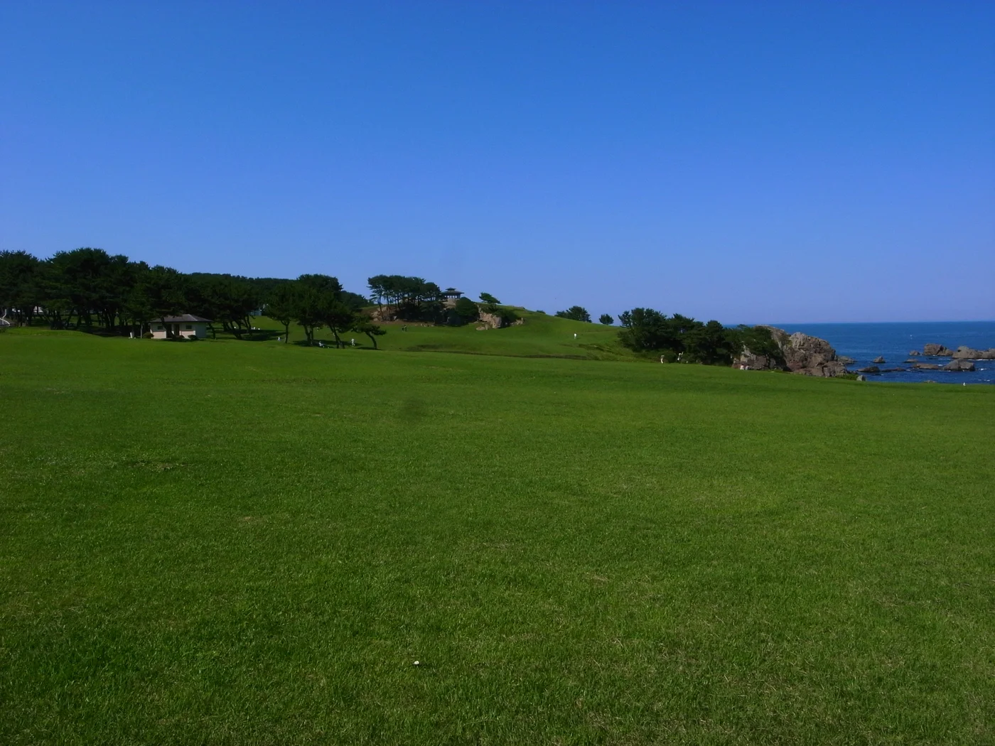 種差天然芝生地的綠色草坡向右側海邊岩岸延伸,後方有松樹與藍天