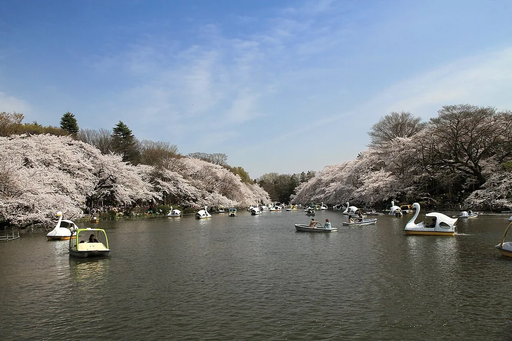 井之頭恩賜公園(2012年)