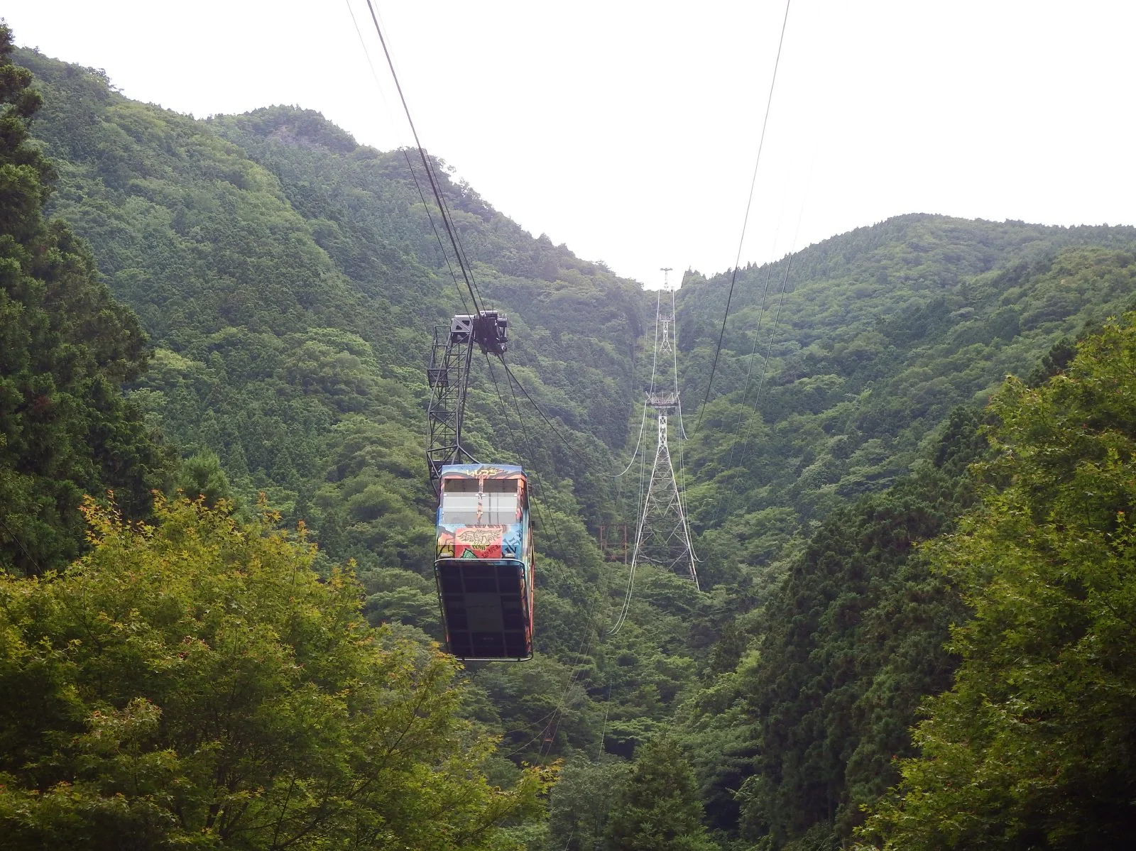 石鎚登山纜車車廂、鋼索與綠色山林