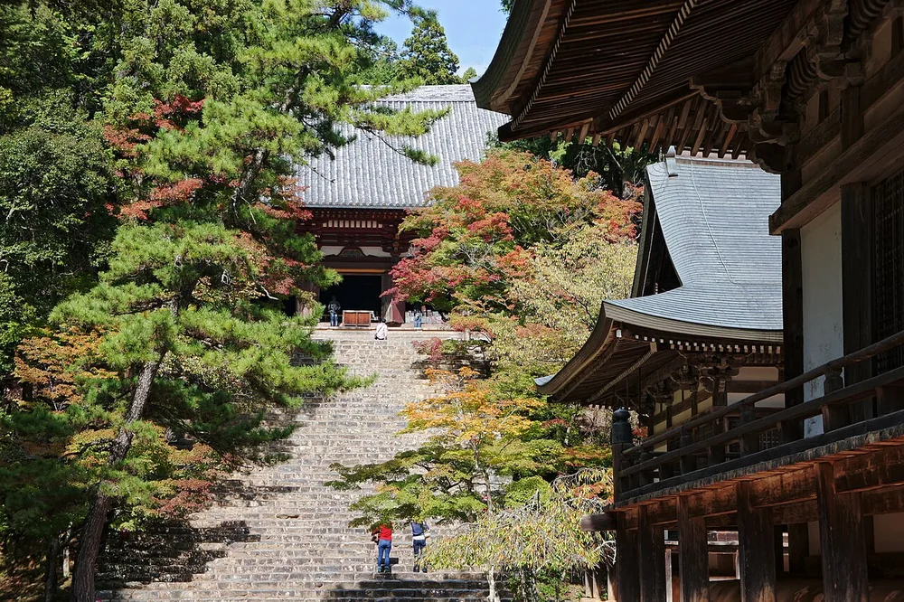 神護寺金堂(2010年)