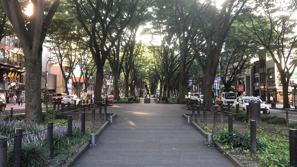 定禪寺通(2020年)