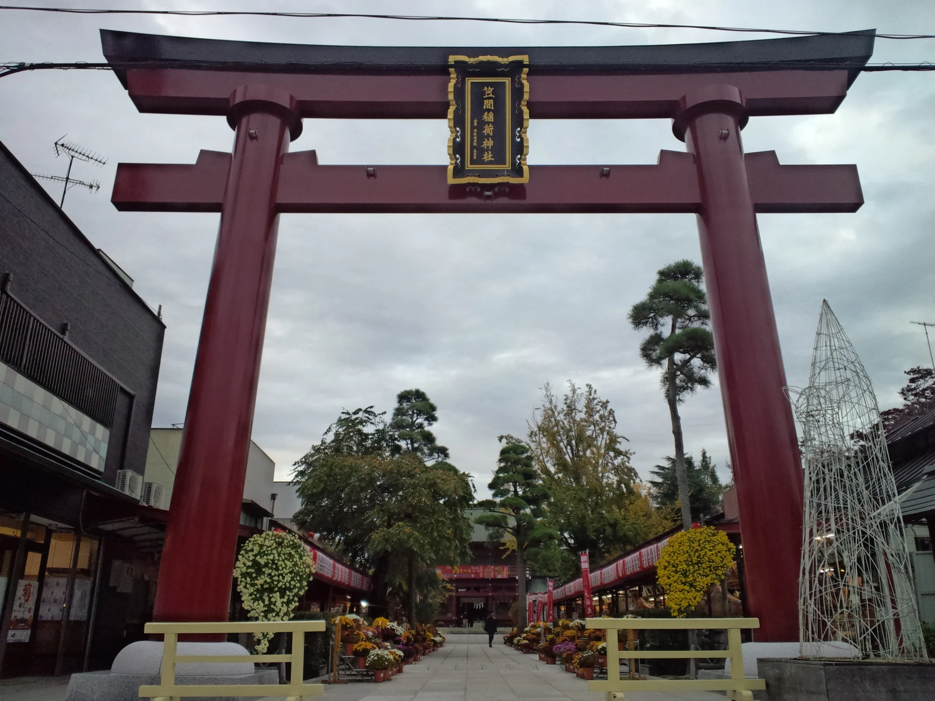 笠間稻荷神社的朱色大鳥居、牌匾與菊花裝飾參道