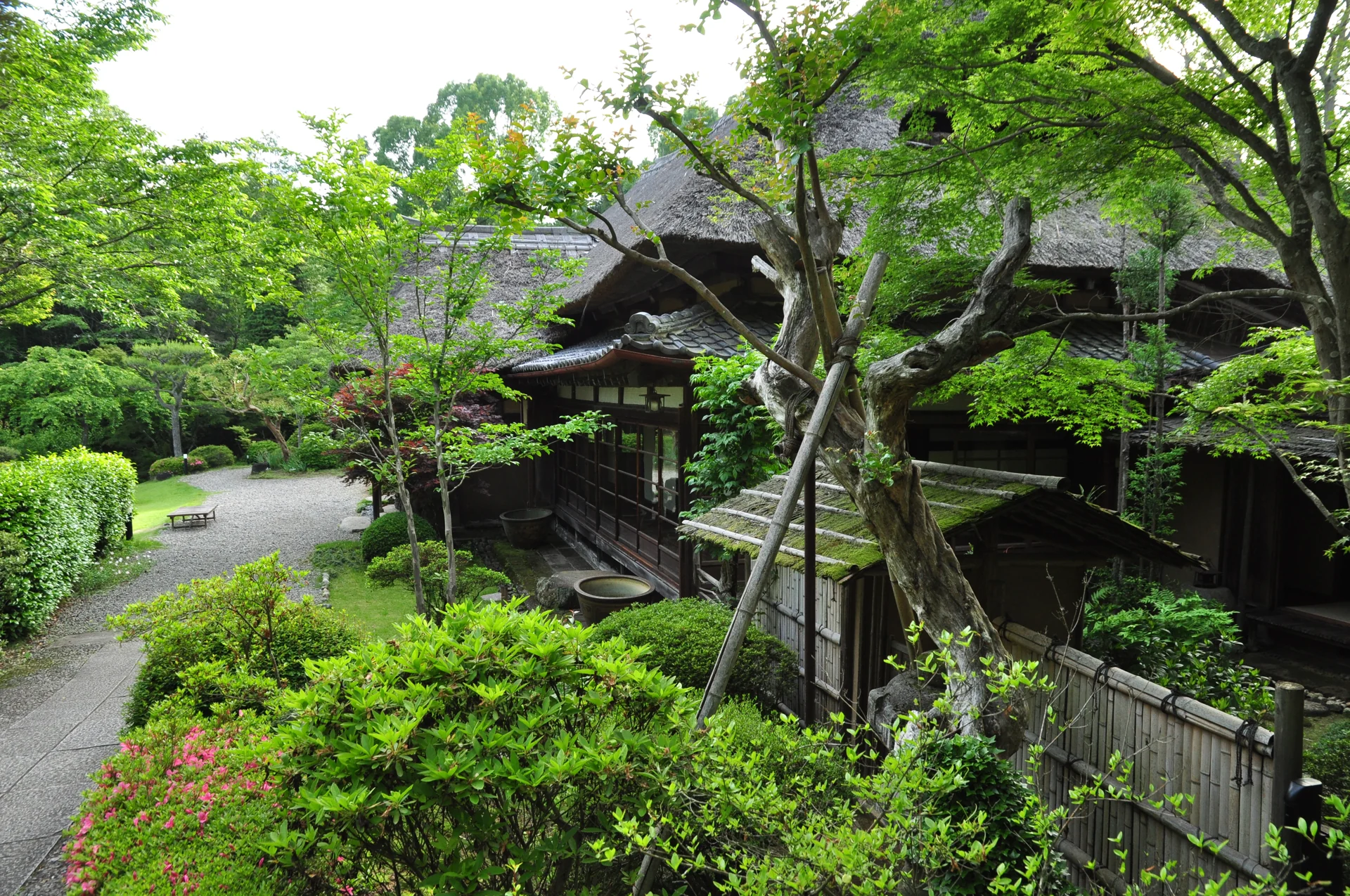 春風萬里莊的茅草屋頂、木造屋身與綠色庭園