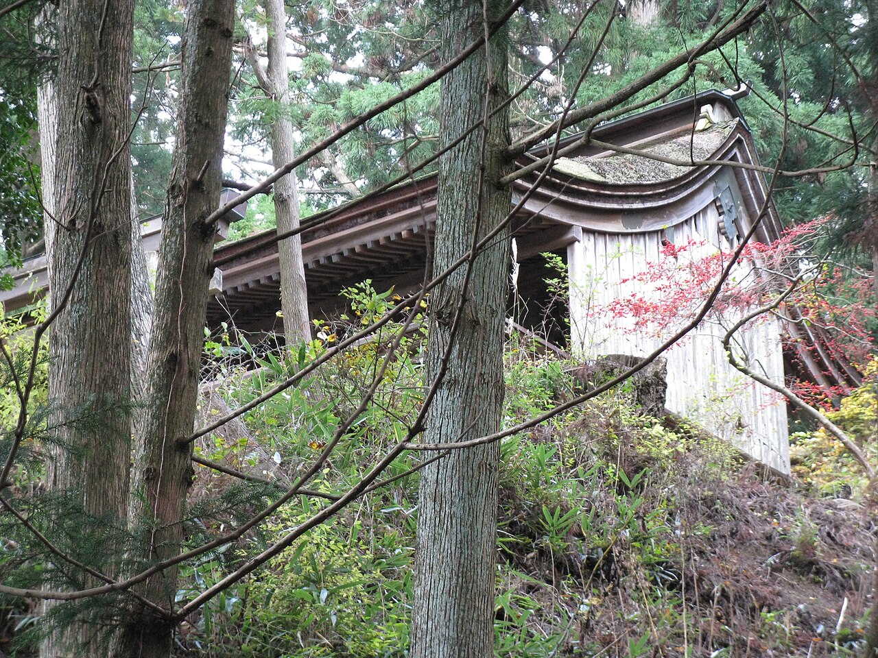 金峯神社本殿屋頂位於樹林間,前景可見秋色樹葉