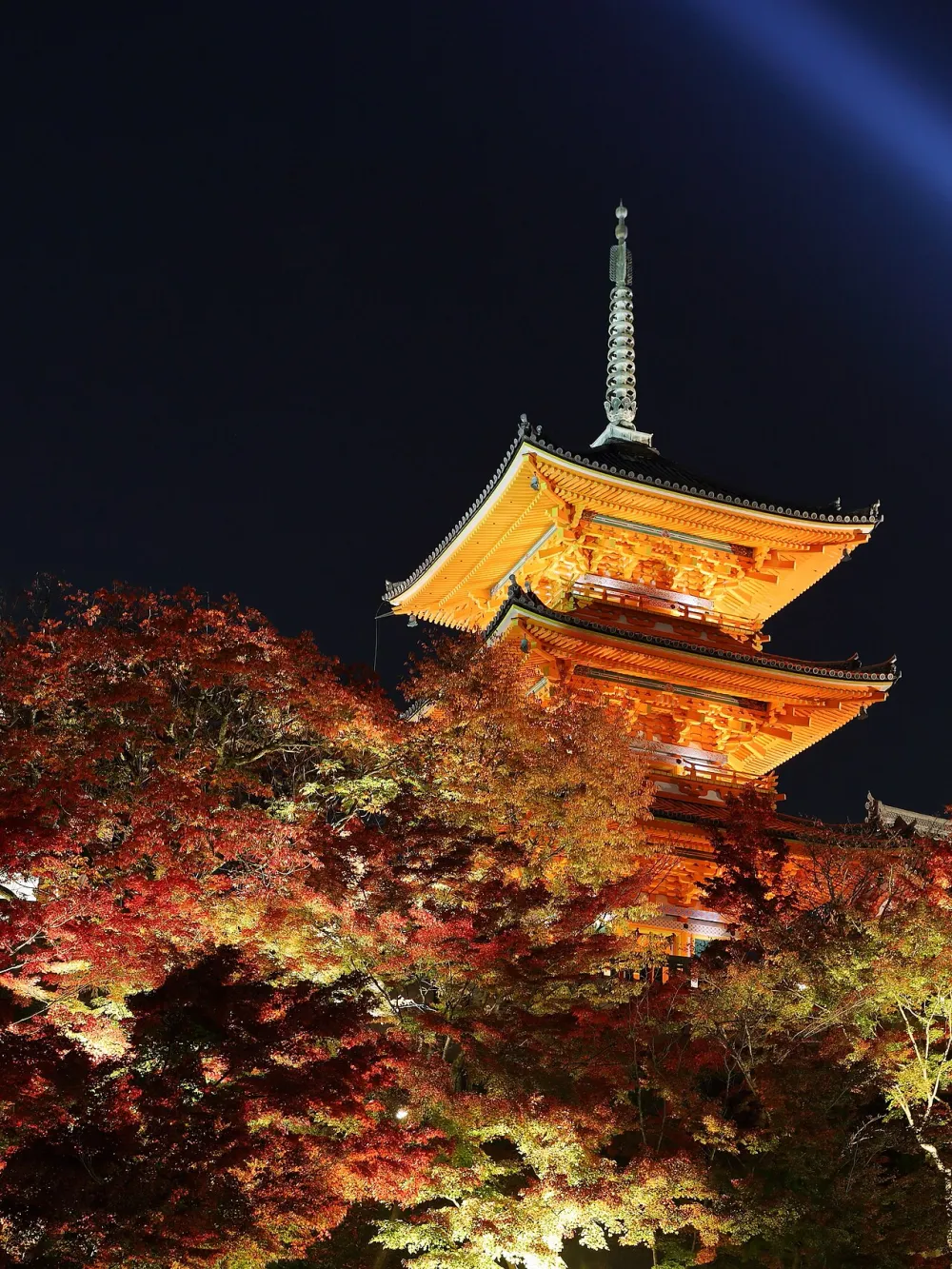 清水寺三重塔與紅葉夜景（2016年11月）。
