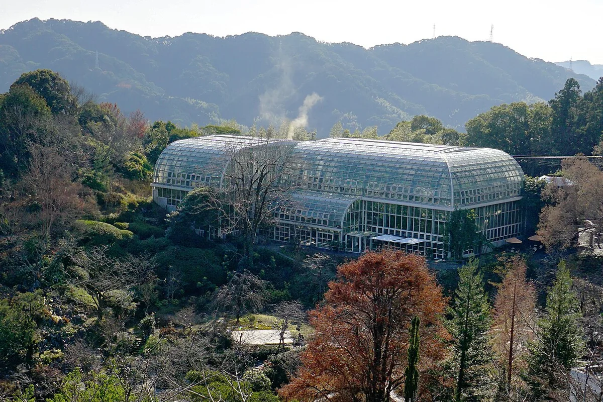 高知牧野植物園溫室外觀，玻璃屋坐落在山坡植栽與周邊林木之間