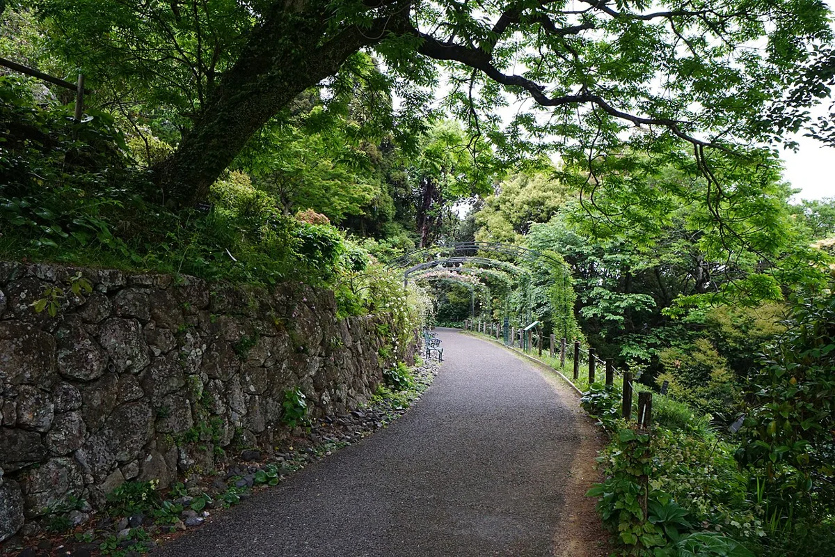牧野植物園鋪面步道沿石垣與樹蔭延伸