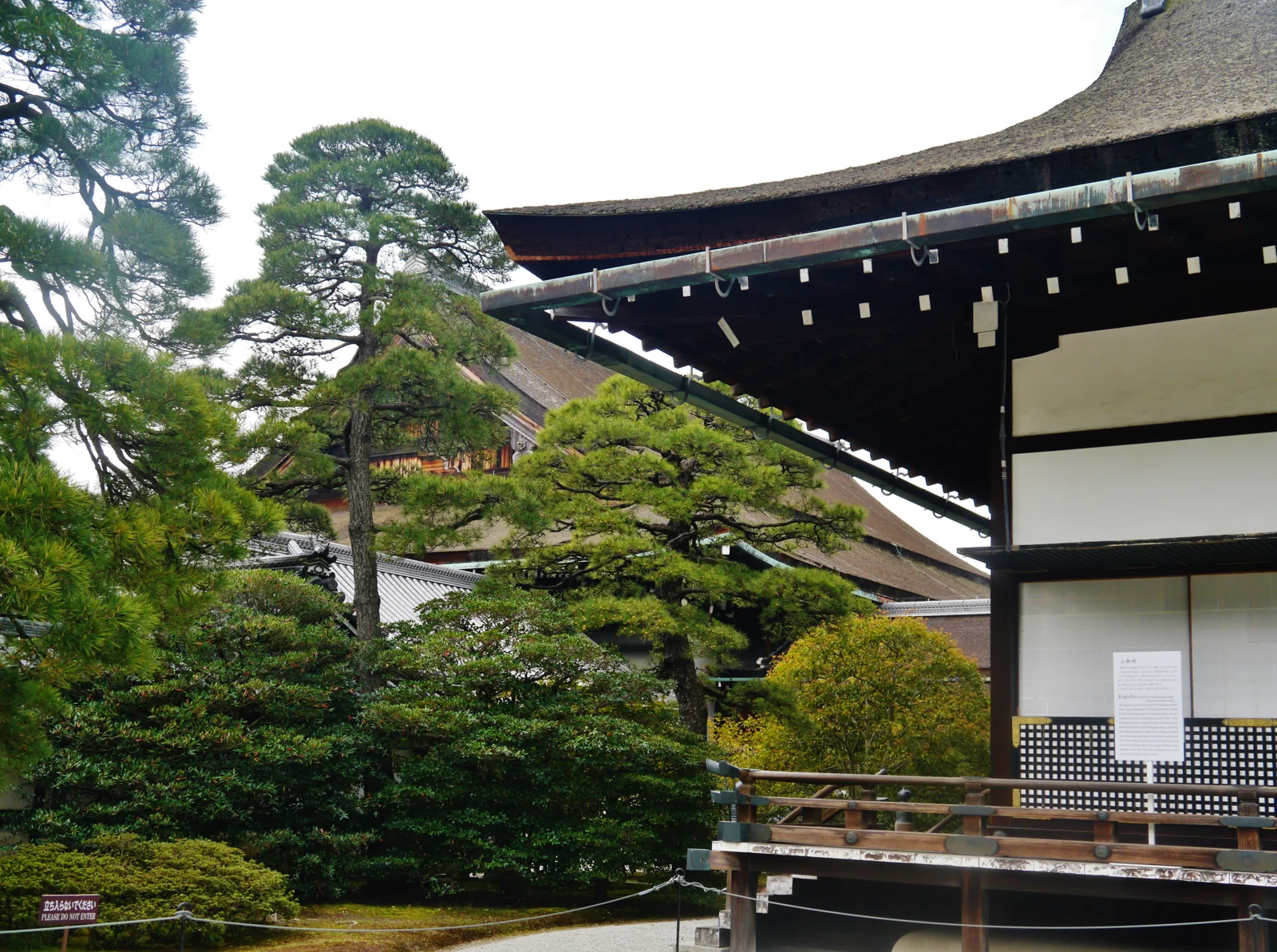 京都御所小御所的屋簷、白牆與周邊松樹。