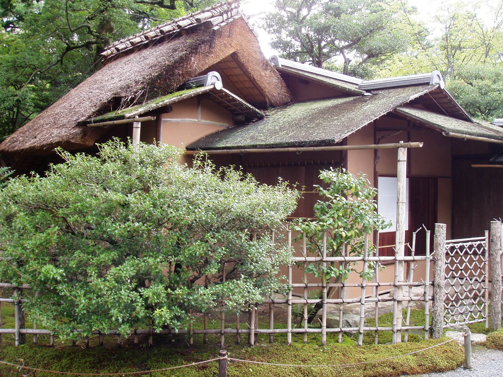 又新亭的茅葺與杮葺屋頂、土牆、竹垣及露地植栽。