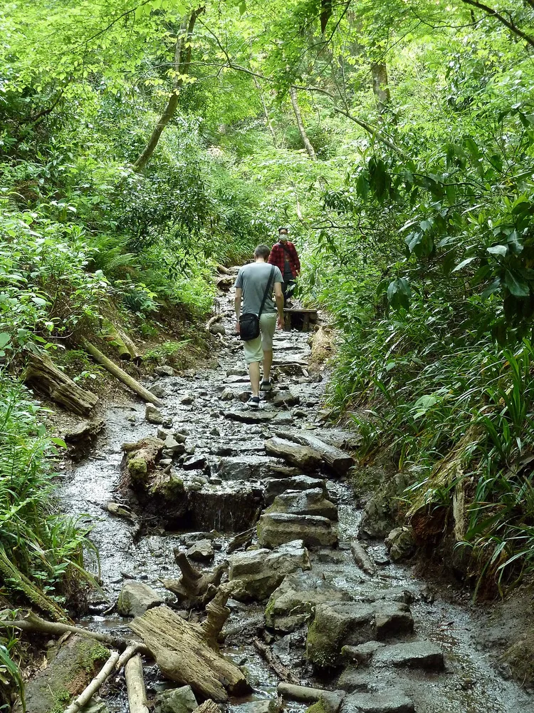 登山者行走在高尾山六號路的溪谷步道