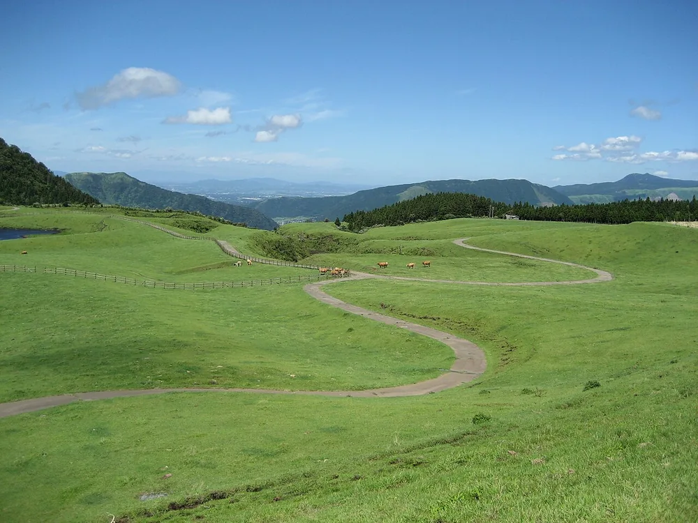 草千里濱的綠色草原與步道(2007年8月)