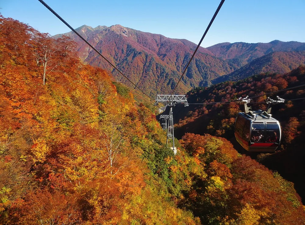 谷川岳纜車與山坡秋葉(2015年10月)