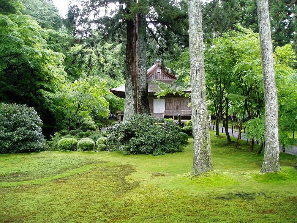 三千院的苔庭與堂宇