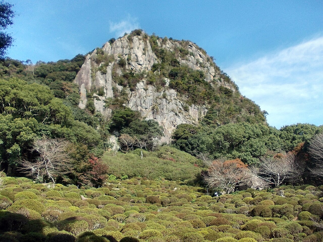 修剪為圓丘的植栽鋪展在御船山岩壁前方
