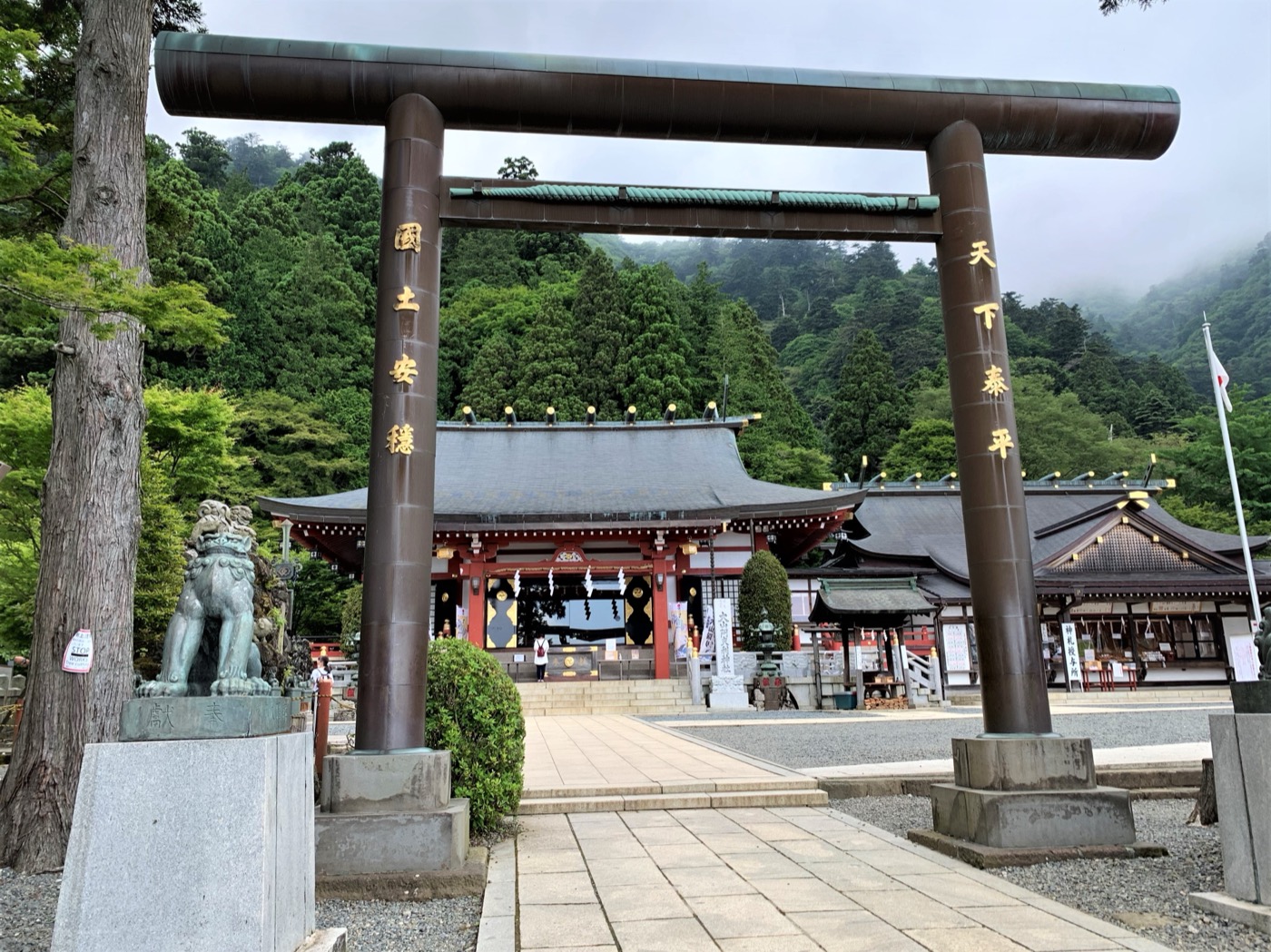 大山阿夫利神社下社的鳥居、石階與殿宇，兩側為綠樹。