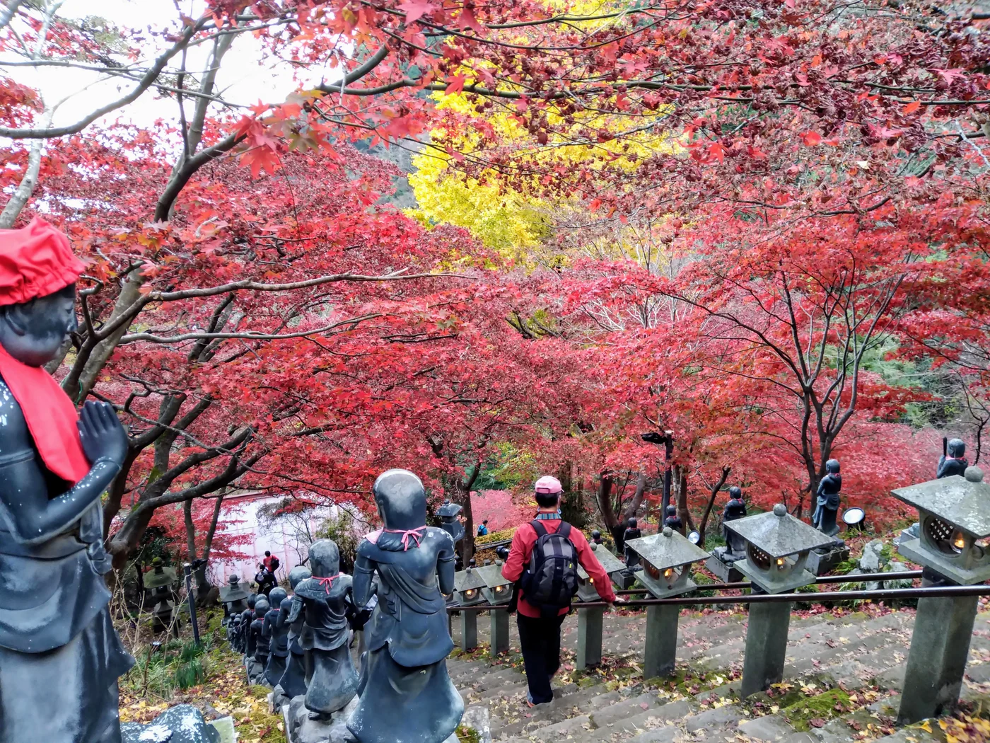 大山寺通往本堂的石階與兩旁紅葉
