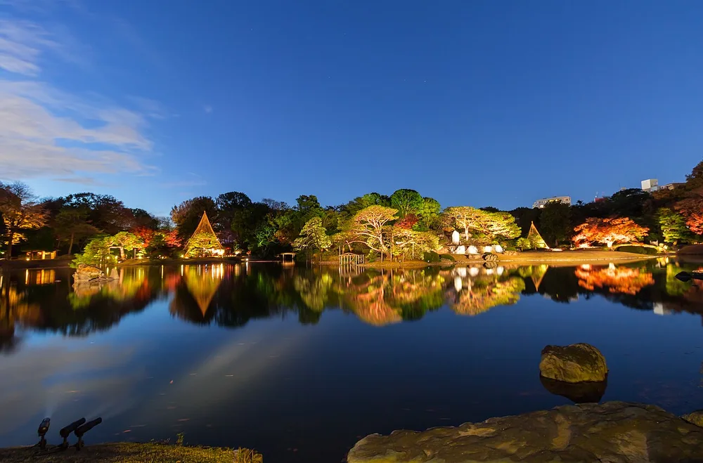六義園大泉水夜間點燈(2018年12月)