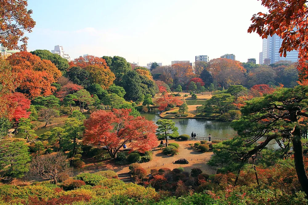 六義園藤代峠望向池景與秋葉(2010年12月)