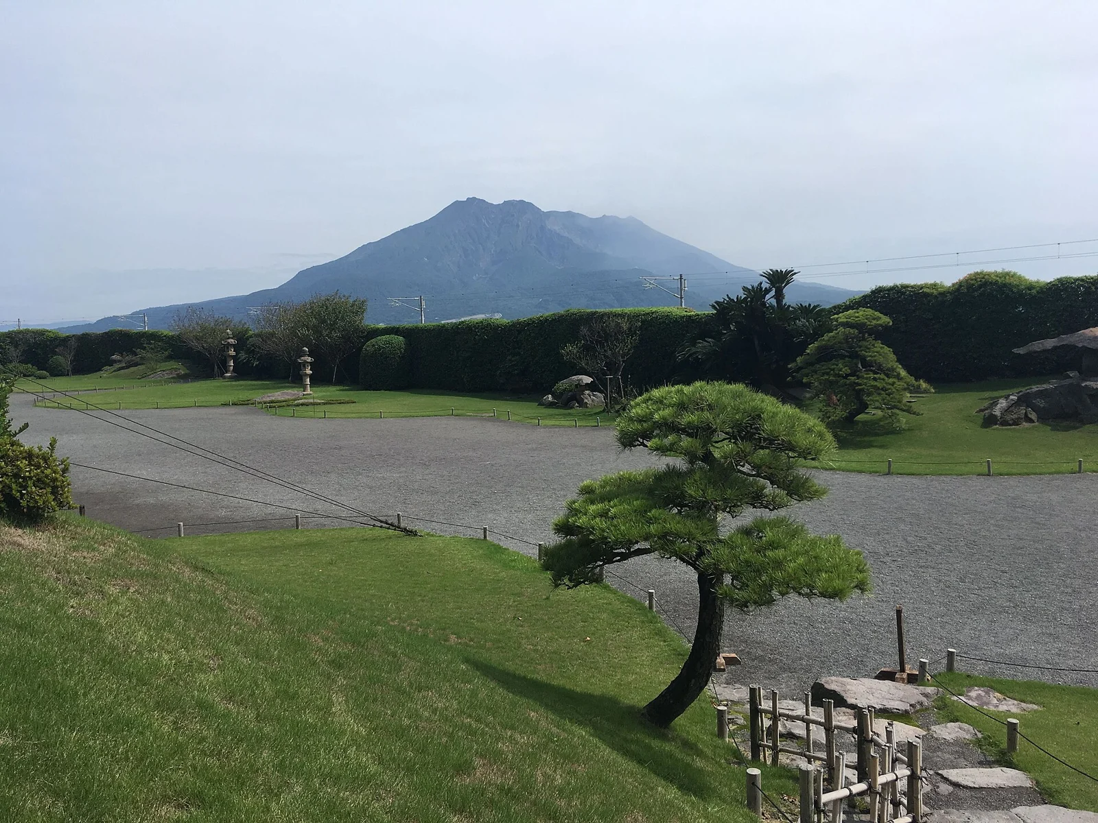 仙巖園庭園的草地、松樹與遠處櫻島