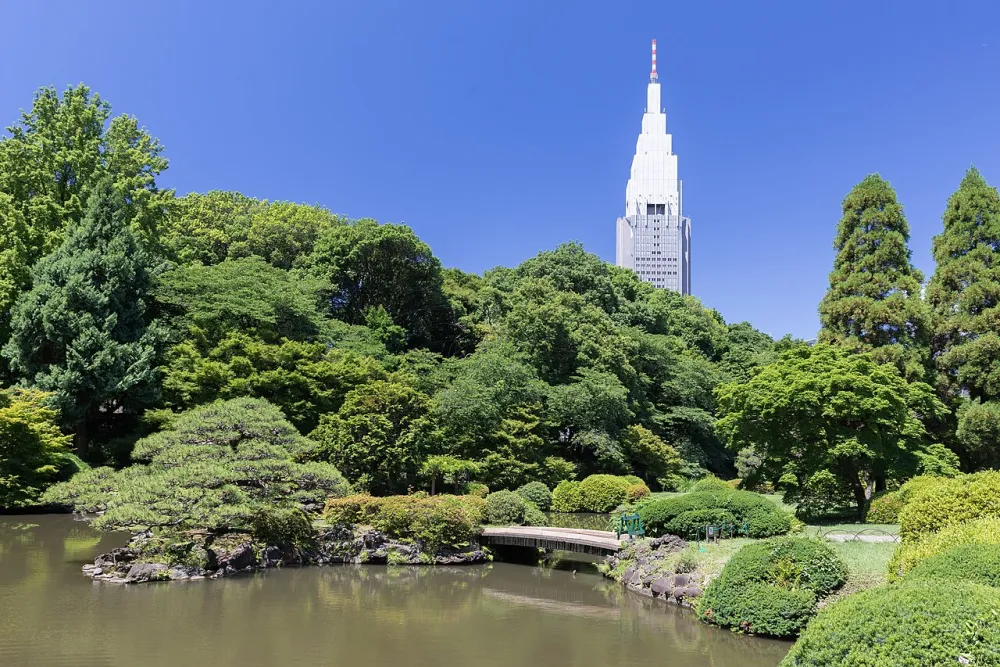 新宿御苑池塘、小橋與遠方NTT Docomo代代木大樓(2019年6月)。