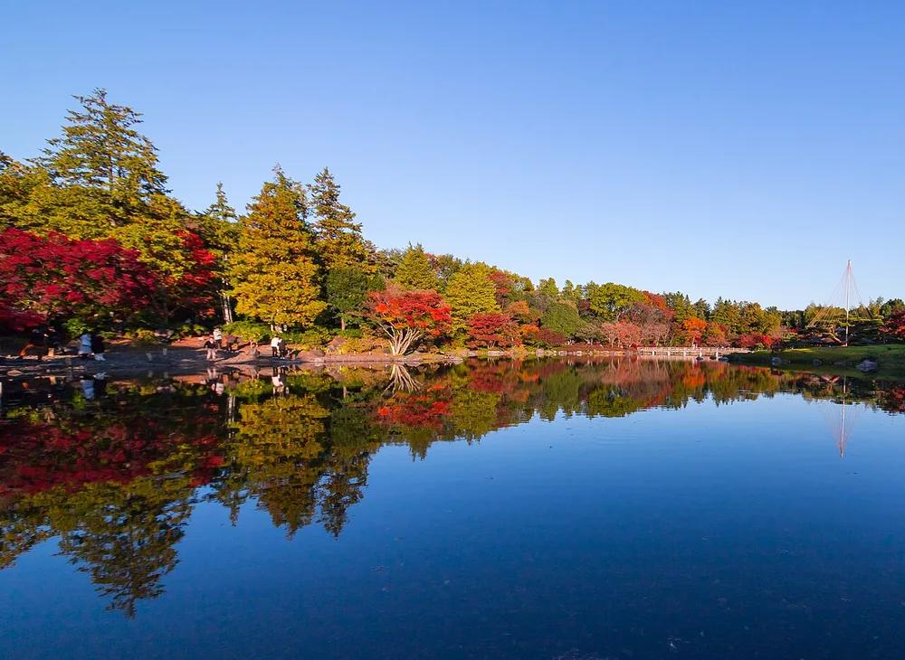 昭和記念公園日本庭園秋景(2024年11月)