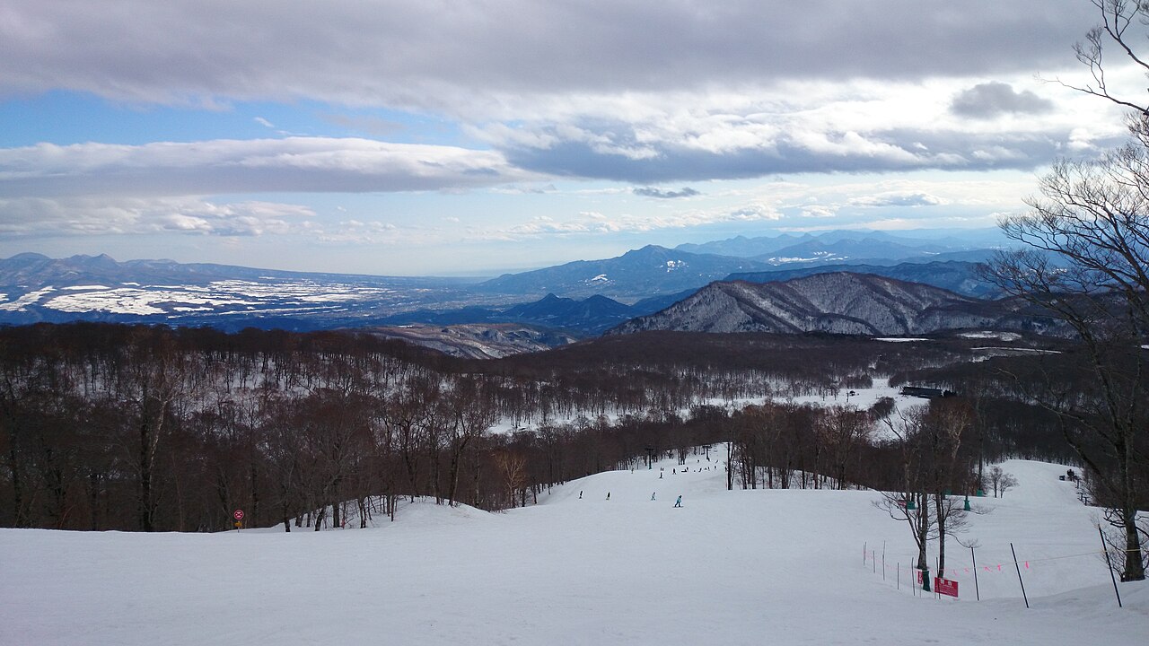 從たんばら雪場高處向下望見的雪道、樹林與遠山