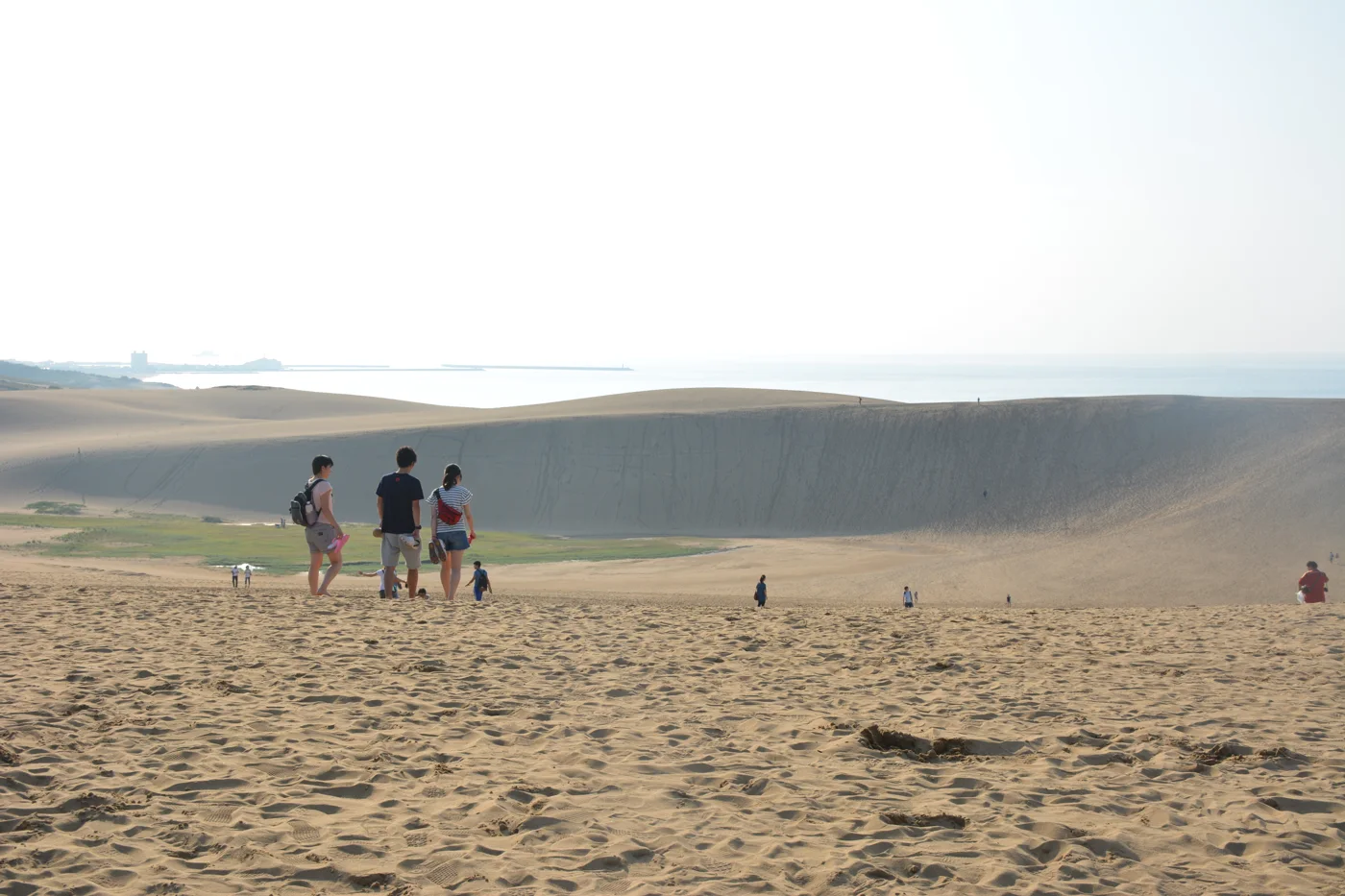 鳥取砂丘的沙地、馬の背斜坡與遠方海岸