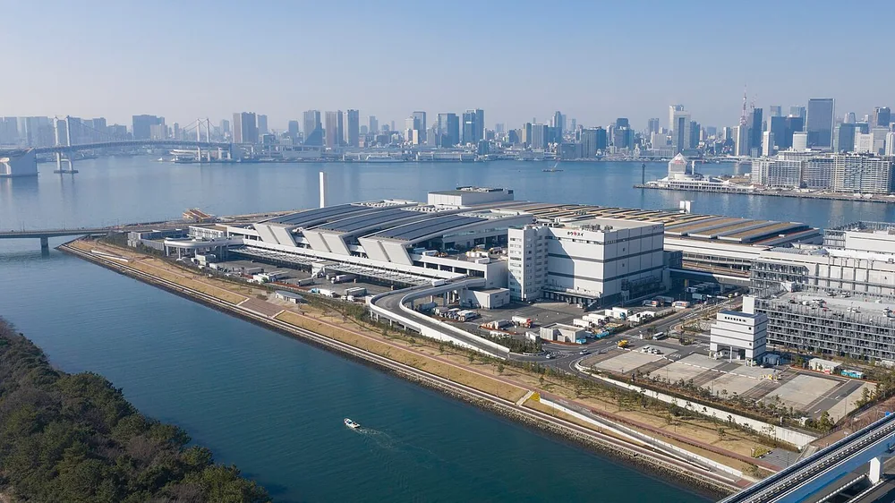 豐洲市場空拍