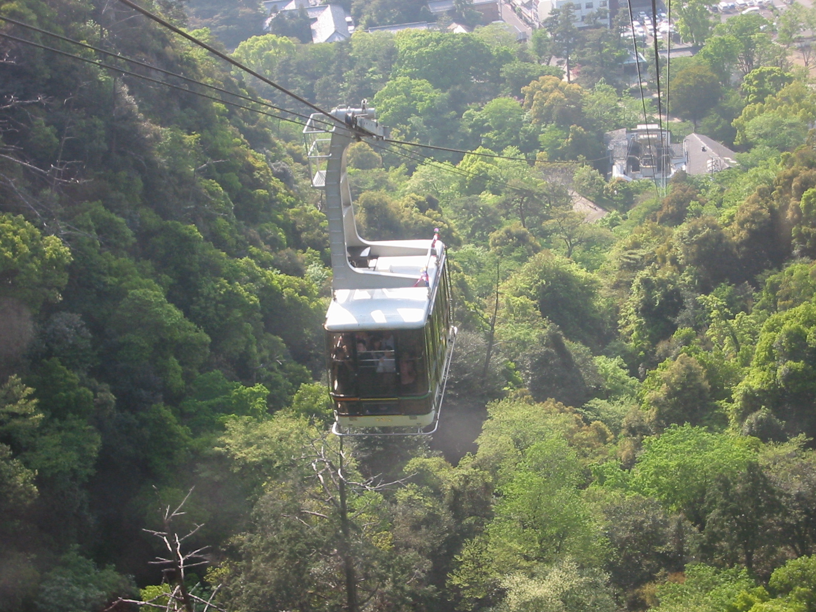 綠色山坡上行駛的金華山纜車車廂與纜索