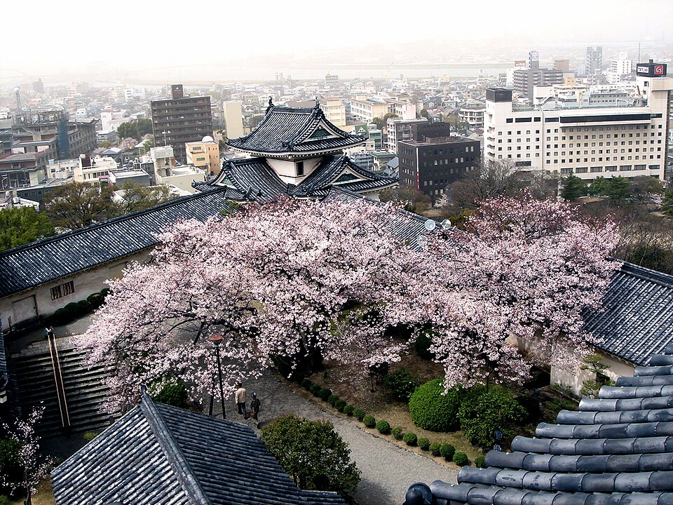 從和歌山城高處看櫻花、城郭屋頂與遠方市街