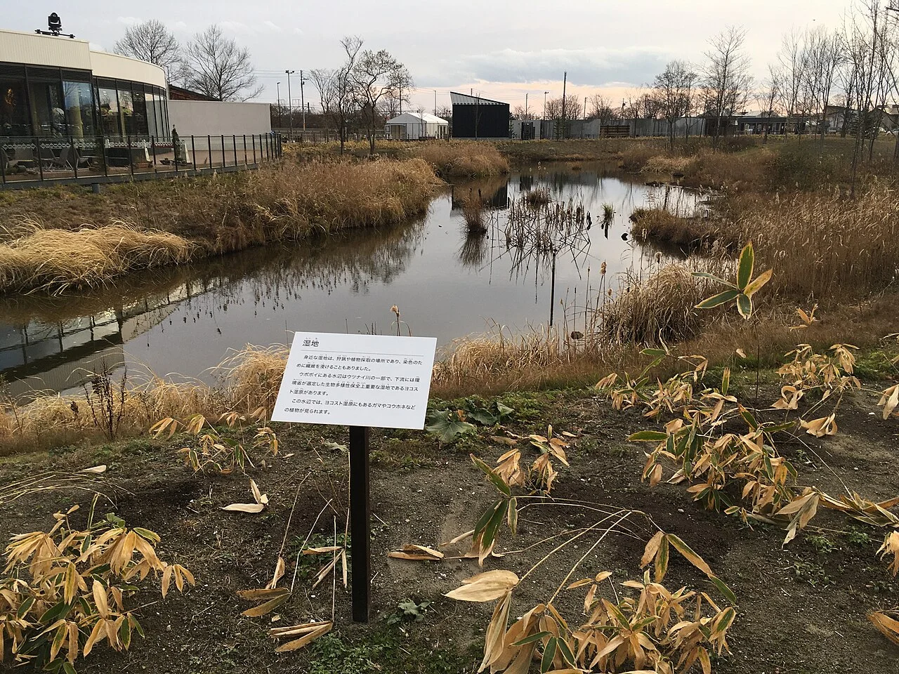 Upopoy園內濕地水道、草叢與左側玻璃館舍