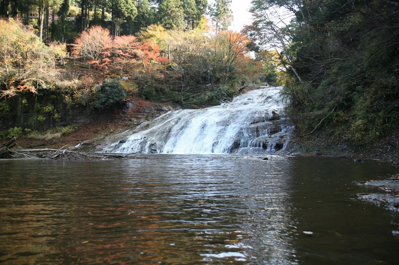 秋色樹木環繞粟又瀑布，水流沿緩斜岩面向河谷流下