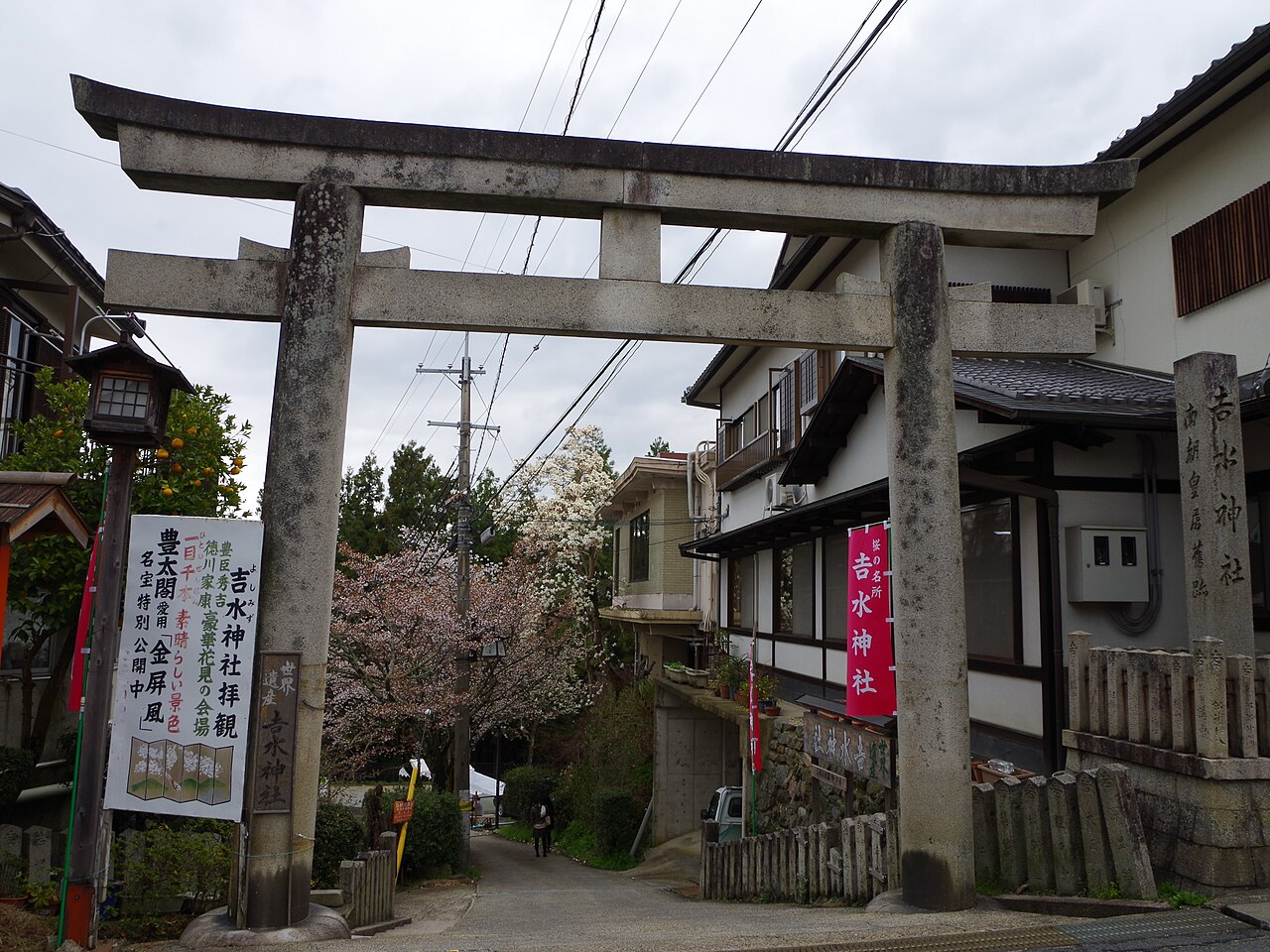 吉水神社鳥居與兩側樹木,鳥居後方參道往下延伸